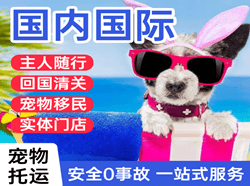 广元盘龙机场空运国际宠物托运 【国